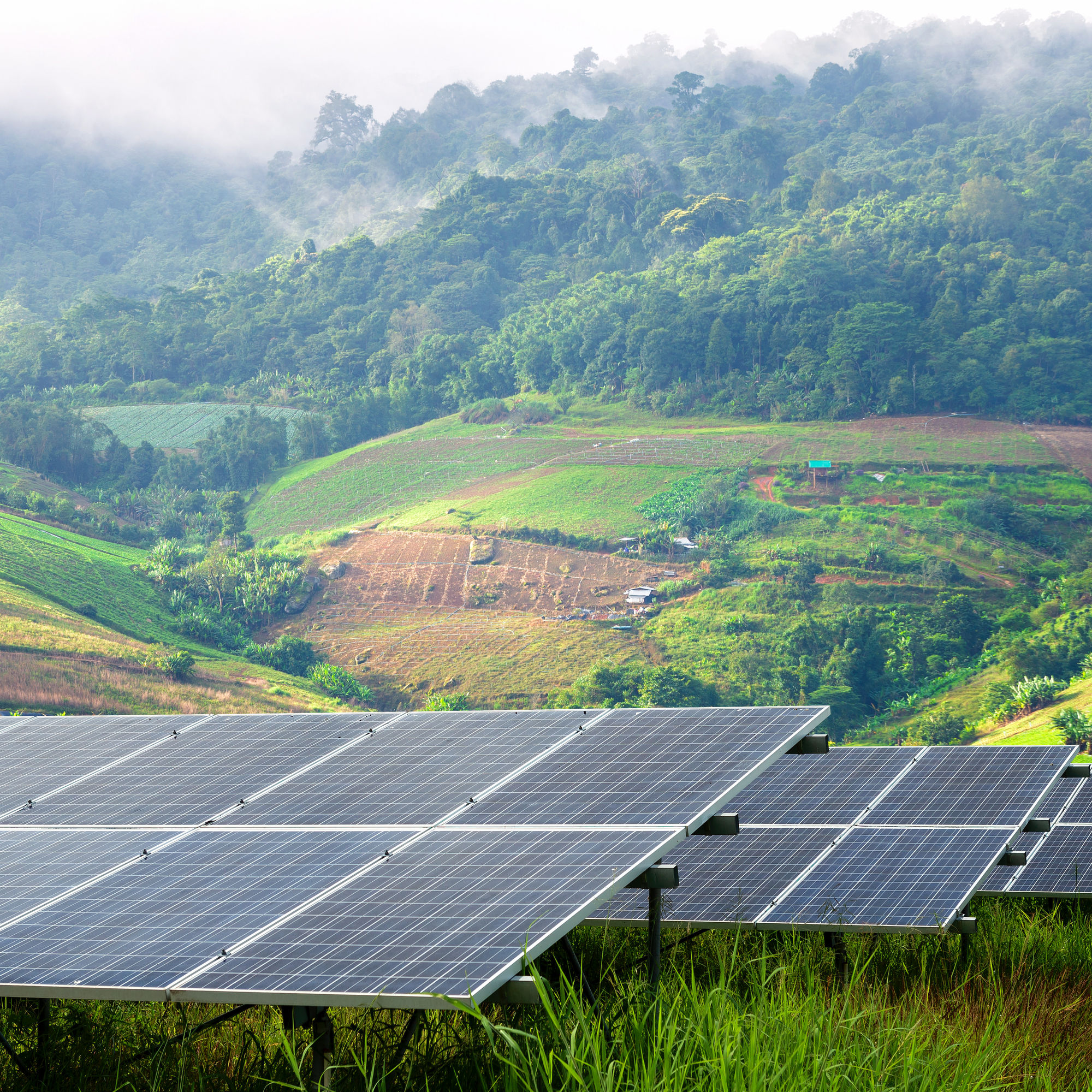 Site planning and phased development strategy